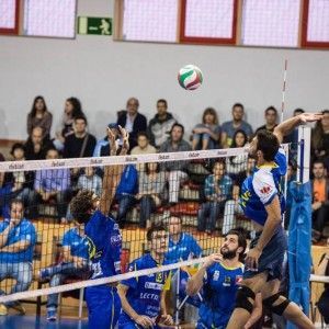 Voleibol masculino